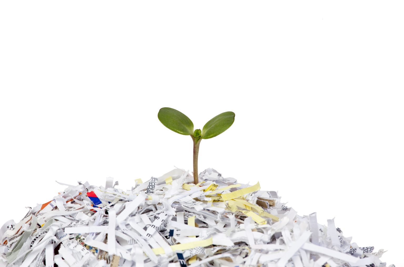 What Happens to Shredded Paper? It’s Recycled! Fileshred