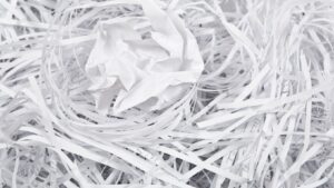 Why Professional Shredding Services