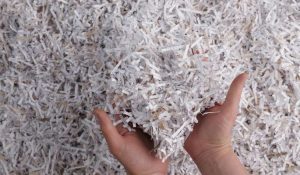 shredding-protecting-business
